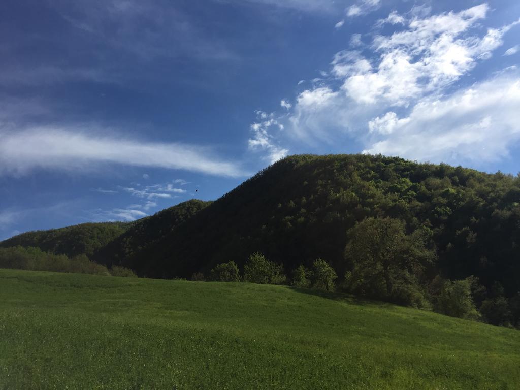 Agriturismo La Ferraia Pianello  Eksteriør billede