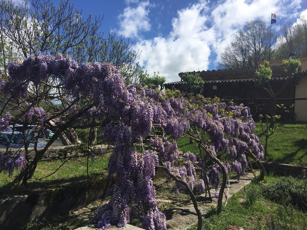 Agriturismo La Ferraia Pianello  Eksteriør billede