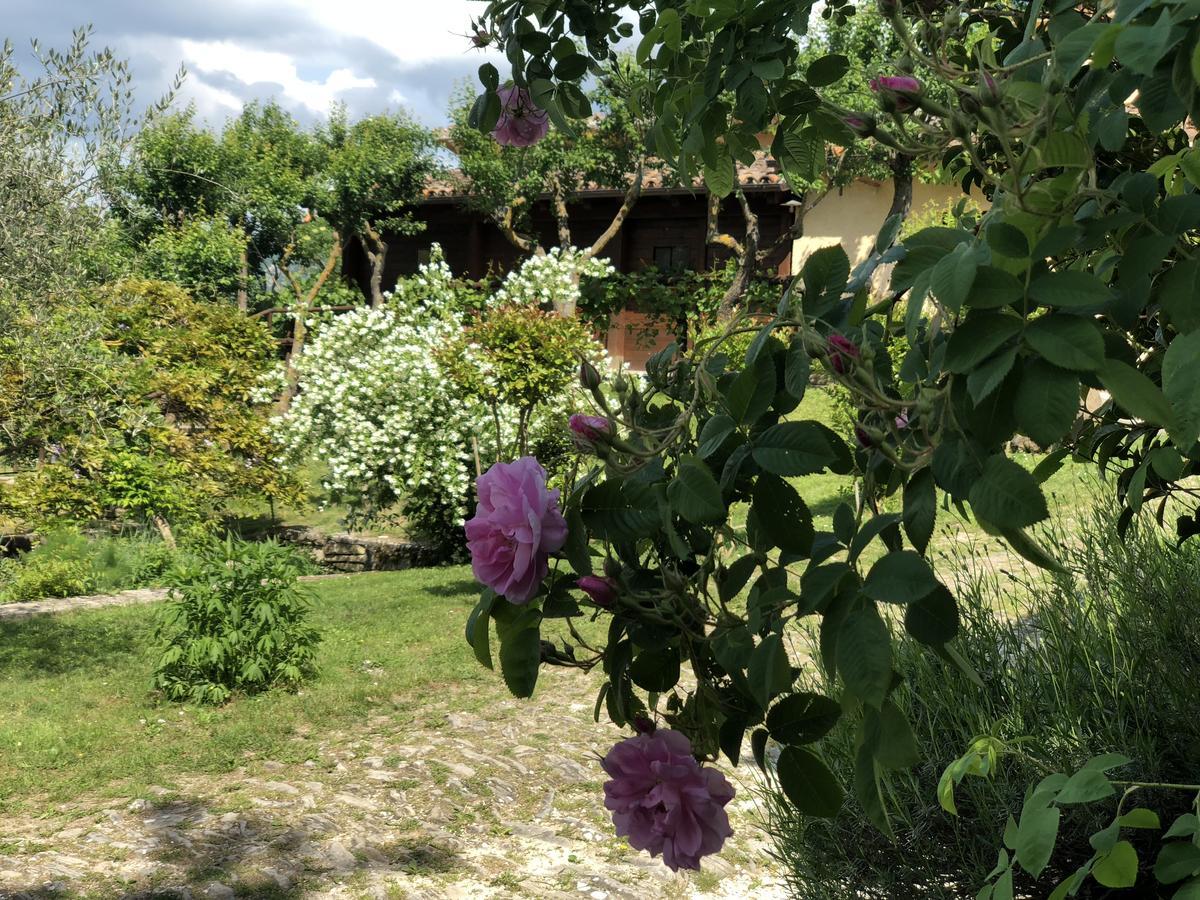 Agriturismo La Ferraia Pianello  Eksteriør billede